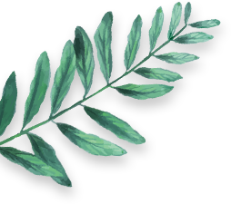 Left Fern Leaf