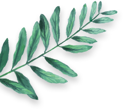 Left Fern Leaf