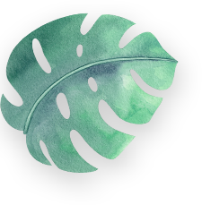 Left Green Leaf
