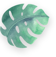 Left Green Leaf