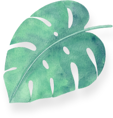 Right Green Leaf